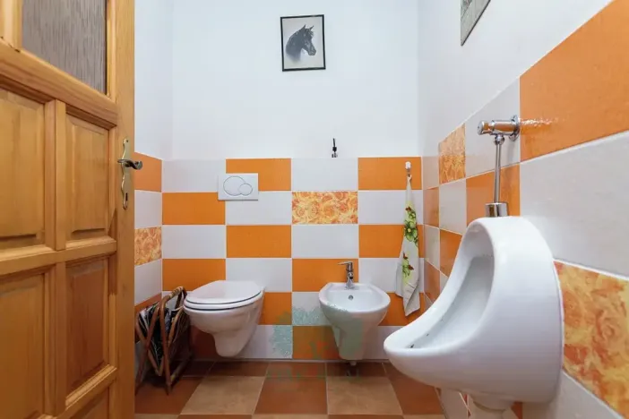 Prodej vícegeneračního domu, Skomelno, 284 m2