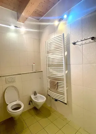 Pronájem atypického bytu, Ovčáry, 90 m2