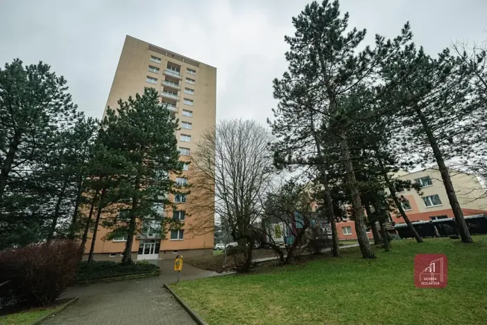 Pronájem bytu 1+kk, Brno, Žitná, 29 m2