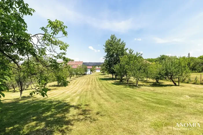 Prodej rodinného domu, Tučín, 332 m2