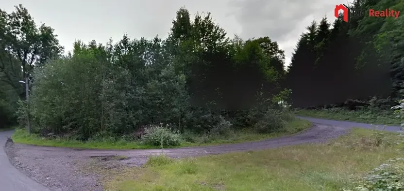 Prodej podílu lesa, Zlatá Olešnice, 574 m2