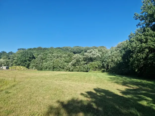 Prodej komerčního pozemku, Velká Polom, Okružní, 6038 m2