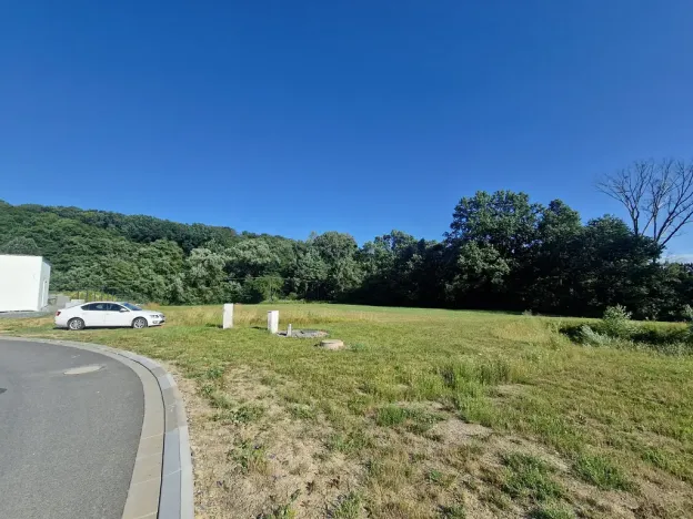 Prodej komerčního pozemku, Velká Polom, Okružní, 6038 m2