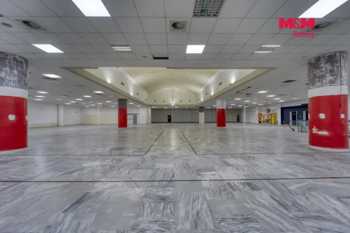 Pronájem obchodního prostoru, Plzeň - Východní Předměstí, Americká, 1603 m2