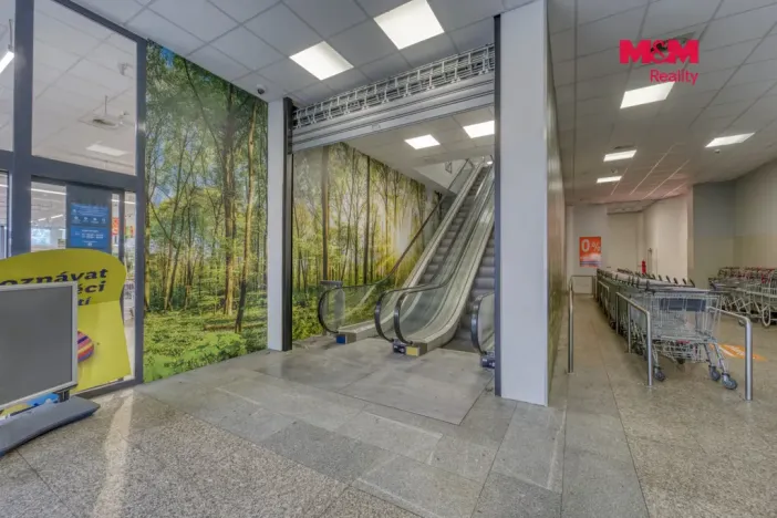 Pronájem obchodního prostoru, Plzeň - Východní Předměstí, Americká, 1603 m2