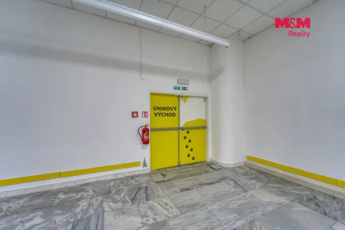 Pronájem obchodního prostoru, Plzeň - Východní Předměstí, Americká, 1603 m2