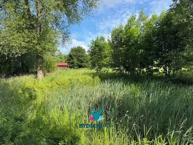 Prodej pozemku pro bydlení, Horní Podluží, 2914 m2