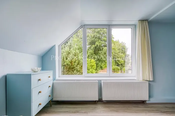 Prodej vícegeneračního domu, Pavlov, 354 m2
