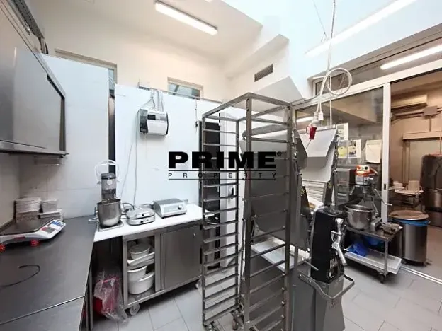 Pronájem obchodního prostoru, Praha - Vinohrady, Italská, 225 m2