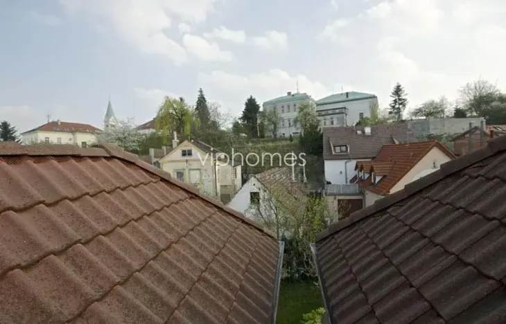 Pronájem rodinného domu, Praha - Střešovice, Nad hradním vodojemem, 350 m2