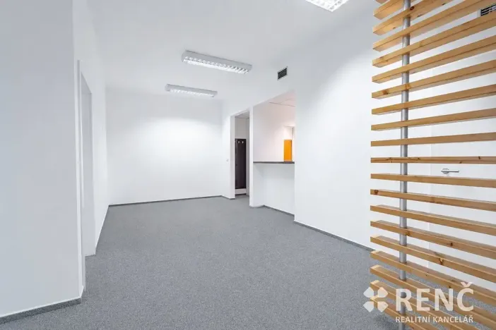 Prodej bytu 2+kk, Brno, Příkop, 70 m2