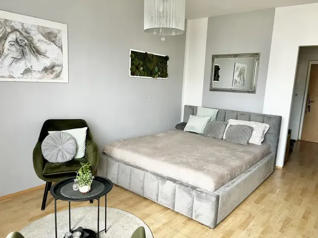 Prodej bytu 1+kk, České Budějovice - České Budějovice 2, Spojovací, 35 m2