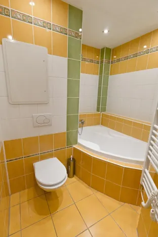 Prodej bytu 1+1, Klenčí pod Čerchovem, 32 m2