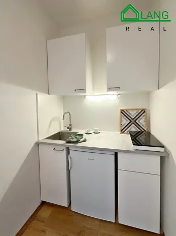 Pronájem bytu 1+kk, Brno, Cejl, 24 m2