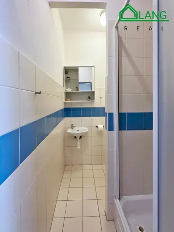 Pronájem bytu 1+kk, Brno, Cejl, 24 m2
