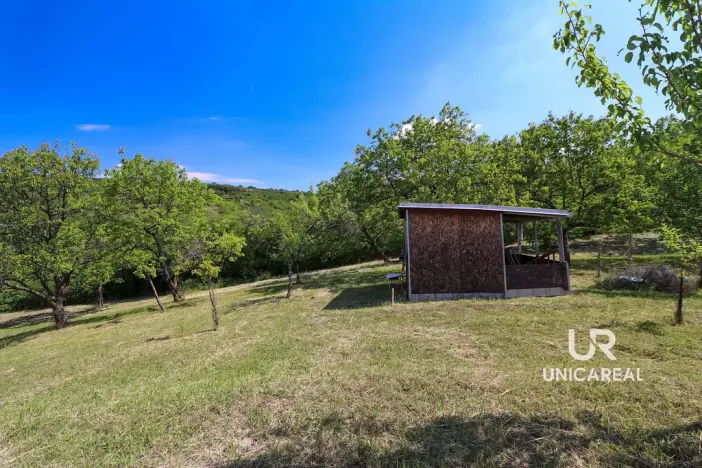 Prodej pole, Židlochovice, 3851 m2
