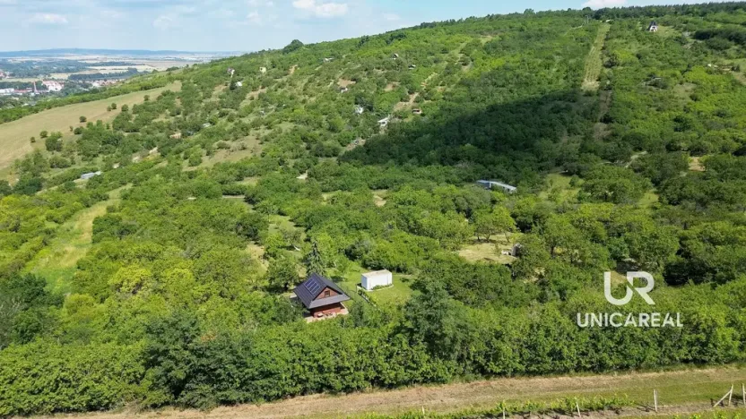 Prodej pole, Židlochovice, 3851 m2