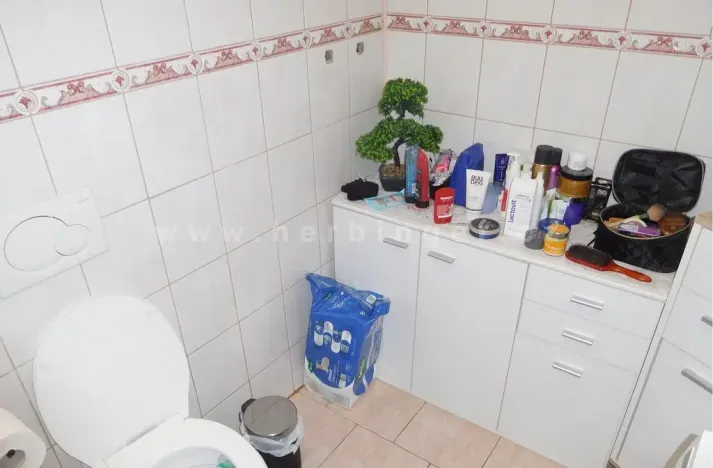 Prodej rodinného domu, Ostrava - Vítkovice, Mírová, 1391 m2