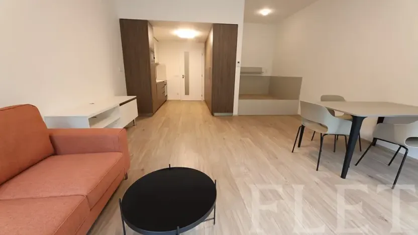 Pronájem bytu 1+kk, Praha - Žižkov, Hartigova, 48 m2