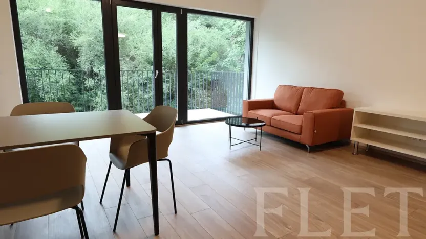 Pronájem bytu 1+kk, Praha - Žižkov, Hartigova, 48 m2