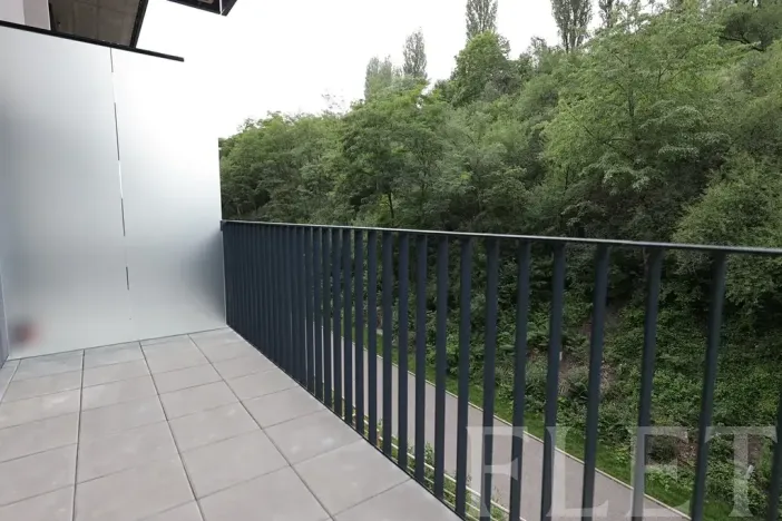 Pronájem bytu 1+kk, Praha - Žižkov, Hartigova, 48 m2