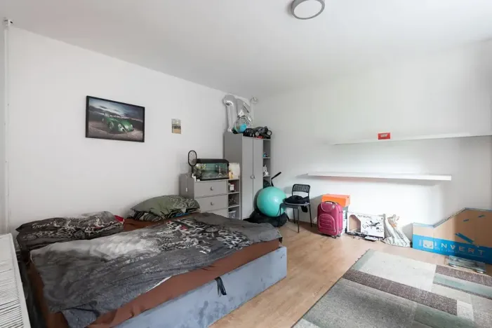 Prodej vícegeneračního domu, Nová Ves, 200 m2