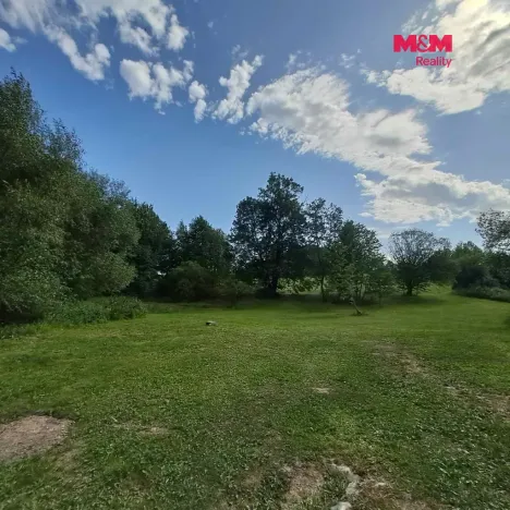 Prodej pozemku pro bydlení, Světlá Hora - Dětřichovice, 3506 m2