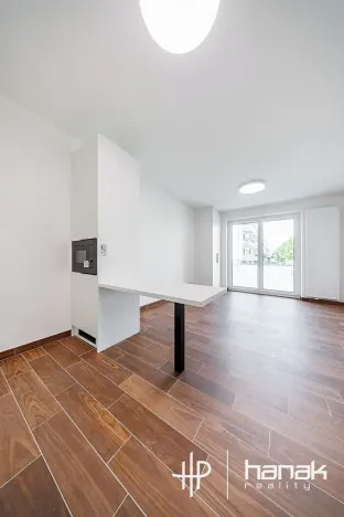 Pronájem bytu 1+kk, Olomouc, Třída Jiřího Pelikána, 33 m2