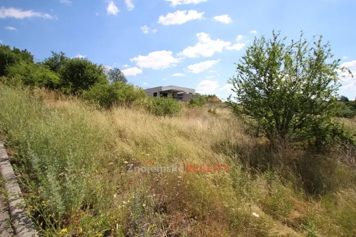 Prodej pozemku pro bydlení, Dyje, 2679 m2