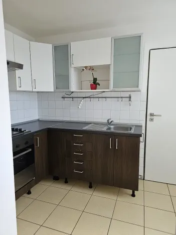 Pronájem rodinného domu, Velká Polom, Osvoboditelů, 300 m2