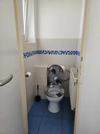 Pronájem rodinného domu, Velká Polom, Osvoboditelů, 300 m2