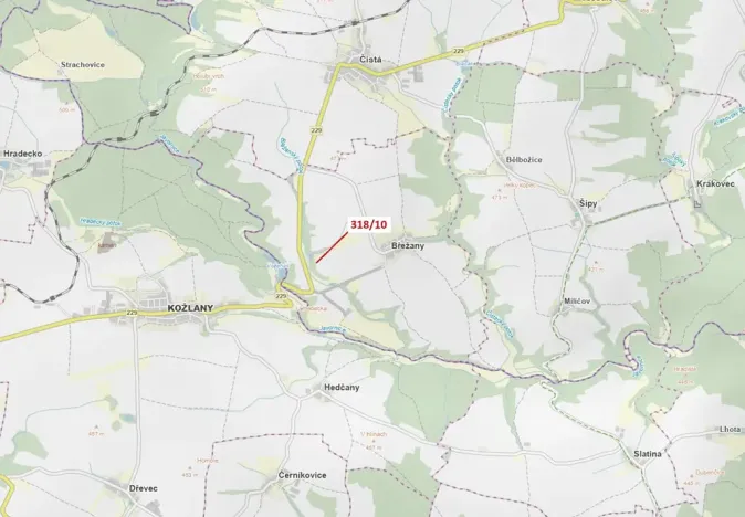 Dražba lesa, Břežany, 21 m2