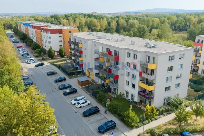 Prodej bytu 1+kk, České Budějovice, Husova tř., 73 m2