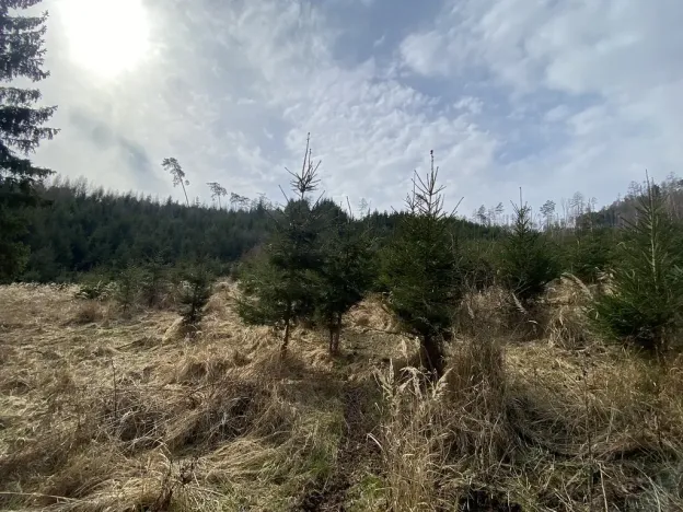 Prodej louky, Městečko Trnávka - Lázy, 1410 m2