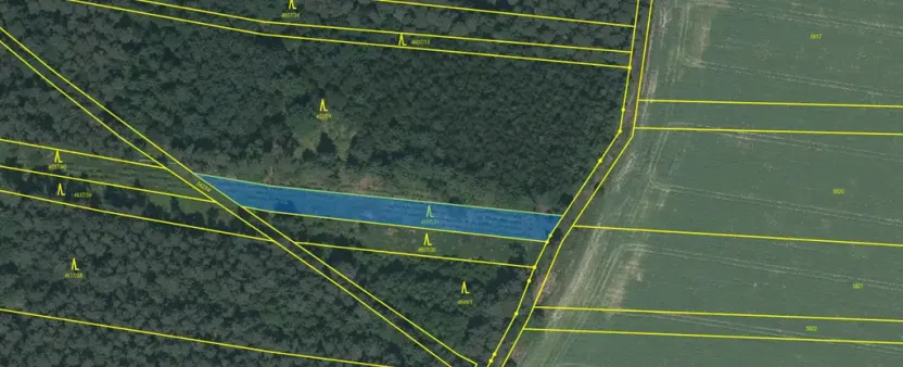 Prodej lesa, Slabčice - Nemějice, 1272 m2