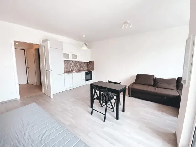 Pronájem bytu 1+kk, Praha - Žižkov, Olgy Havlové, 45 m2