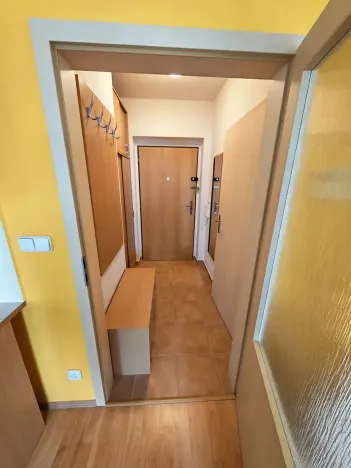 Prodej bytu 1+kk, Zlín, Zelinova, 36 m2