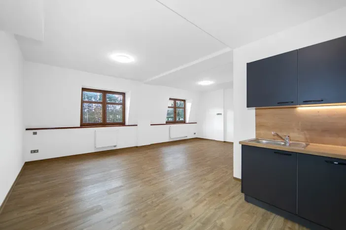 Pronájem bytu 1+kk, Zruč-Senec, Sportovní, 44 m2