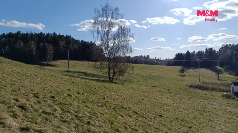 Prodej louky, Janův Důl, 2749 m2