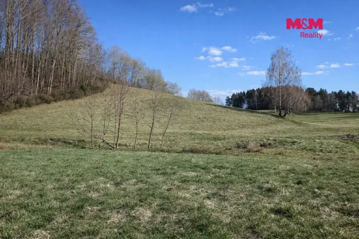 Prodej louky, Janův Důl, 2749 m2