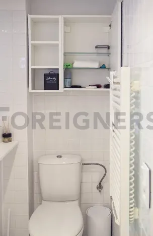 Pronájem bytu 1+kk, Praha, Myslbekova, 25 m2