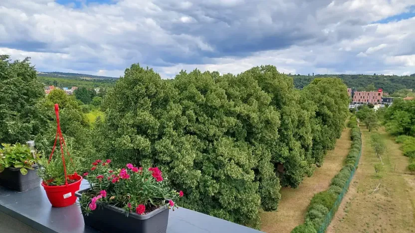 Pronájem bytu 1+kk, Brno, Wágnerova, 35 m2