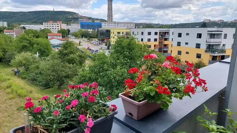 Pronájem bytu 1+kk, Brno, Wágnerova, 35 m2