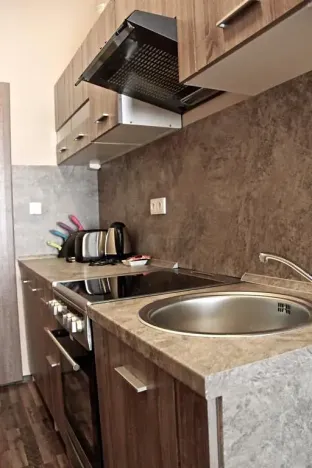 Prodej apartmánu, Karlovy Vary, Moravská, 270 m2
