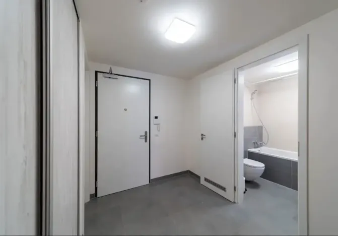 Pronájem bytu 2+kk, Praha - Karlín, Nekvasilova, 67 m2