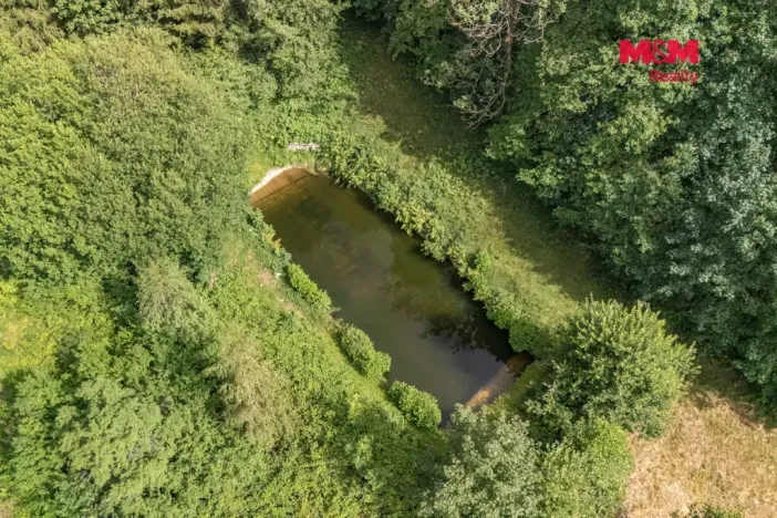 Prodej rodinného domu, Dešenice - Žiznětice, 100 m2