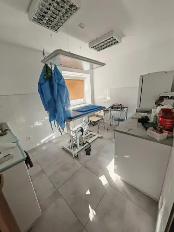 Prodej vícegeneračního domu, Lázně Bohdaneč, Škroupova, 205 m2