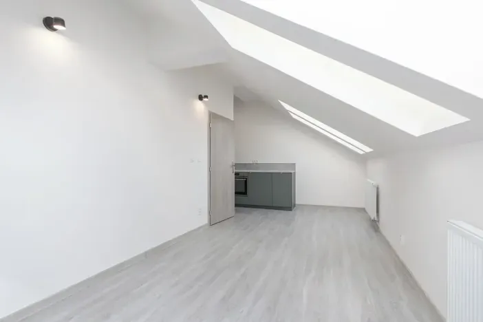 Pronájem bytu 1+kk, Praha - Vršovice, Košická, 30 m2