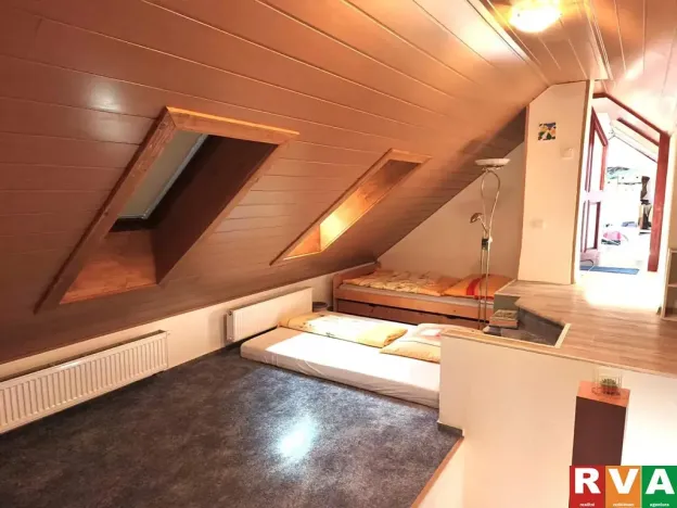 Prodej rodinného domu, Plzeň, Dělnická, 250 m2