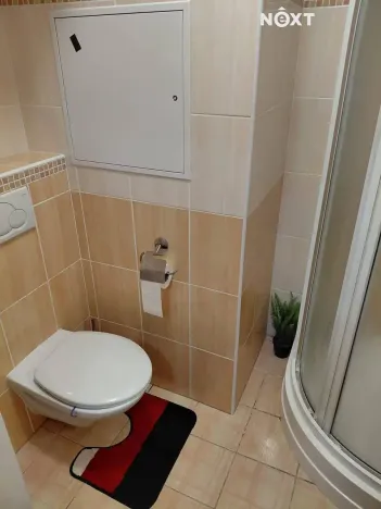 Pronájem bytu 1+kk, Pardubice, Bělehradská, 40 m2